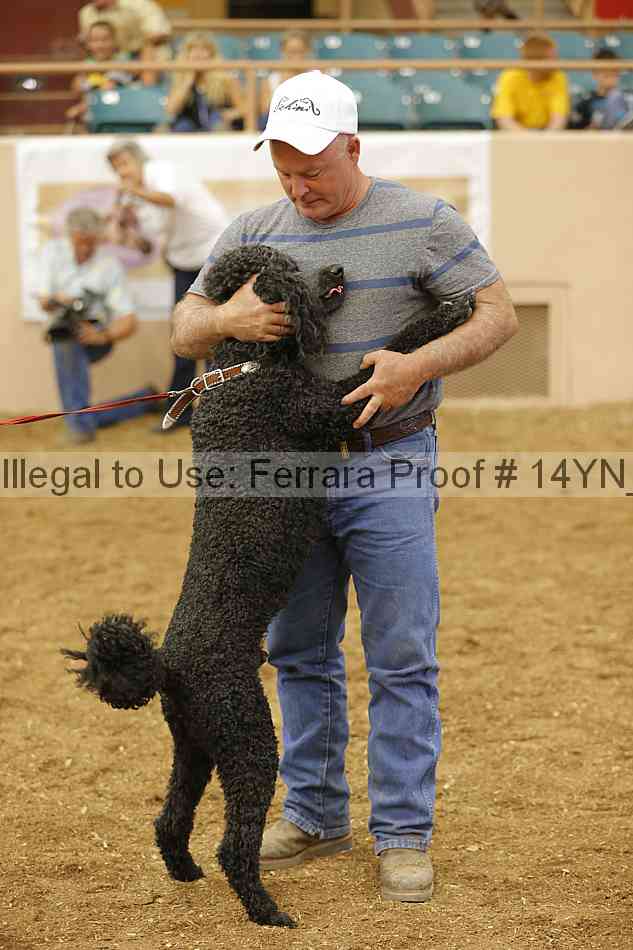 Proof Number 14yn_20911