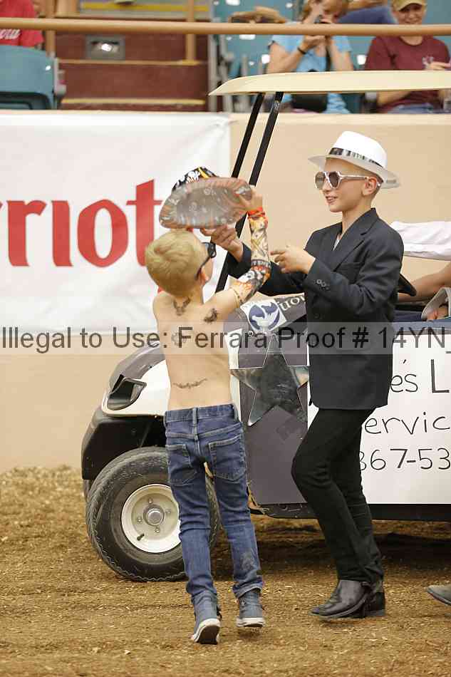 Proof Number 14yn_04907