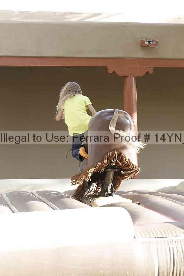 Proof Number 14yn_01828