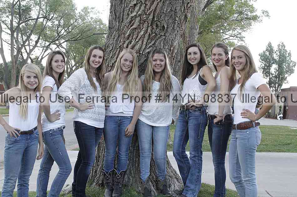 Proof Number 14yn_08837