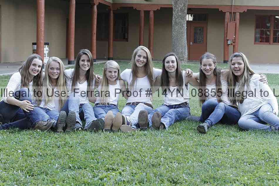 Proof Number 14yn_08855