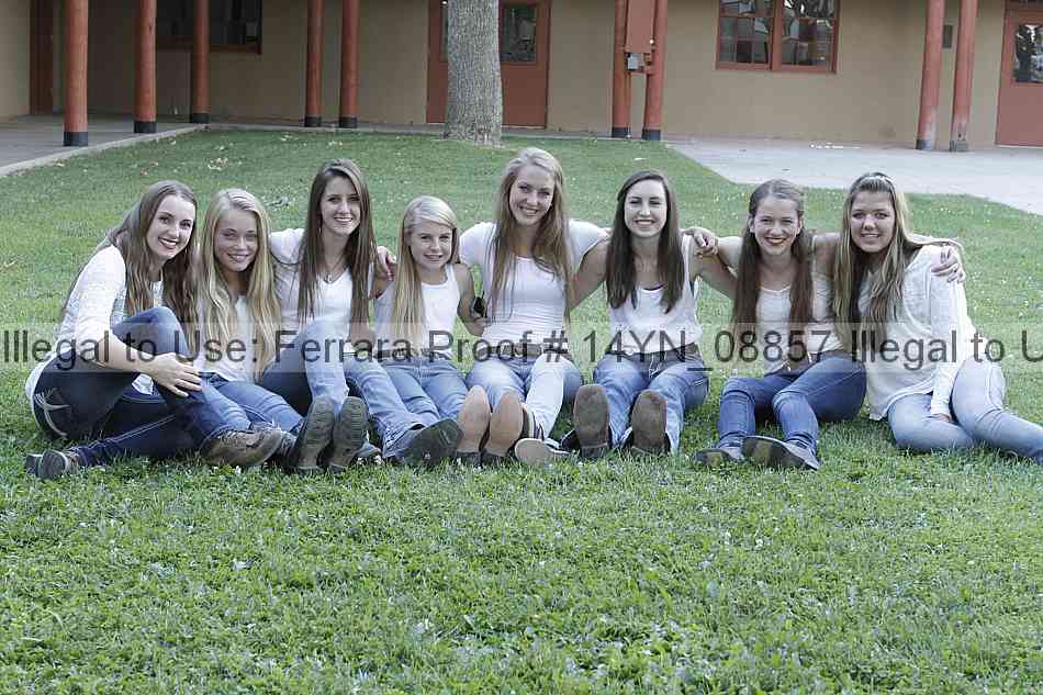 Proof Number 14yn_08857