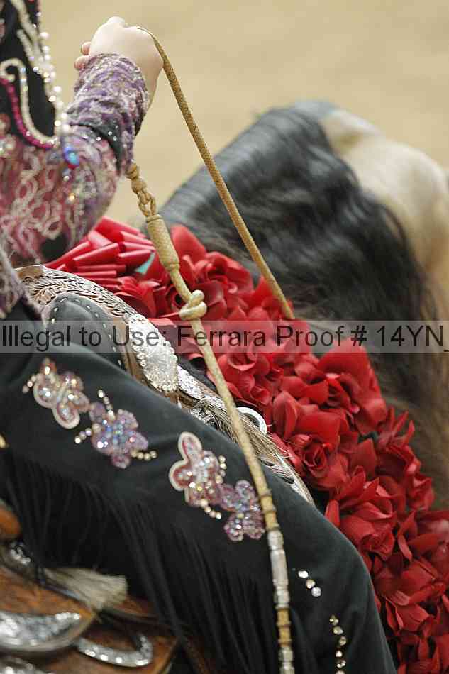 Proof Number 14yn_slideshow_24410