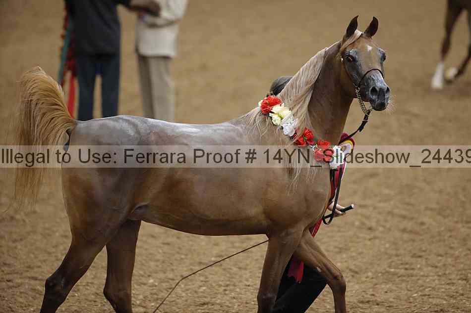 Proof Number 14yn_slideshow_24439