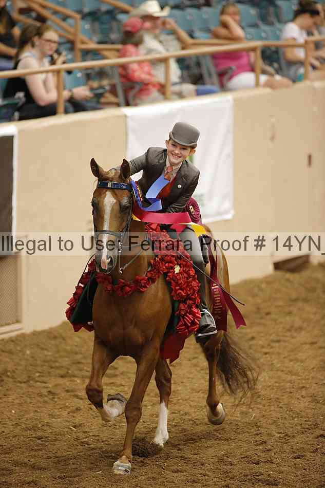Proof Number 14yn_slideshow_24442