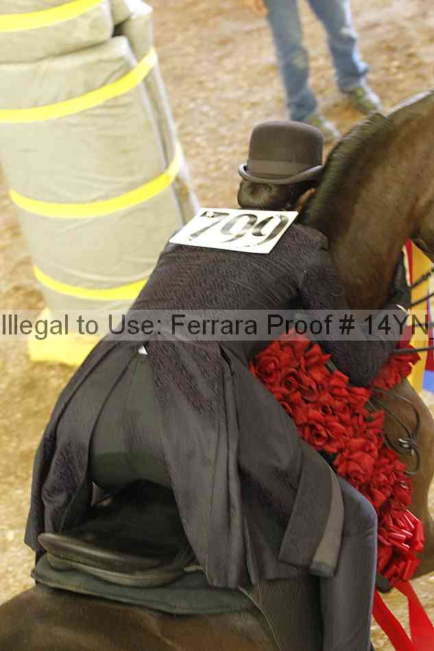 Proof Number 14yn_slideshow_24446