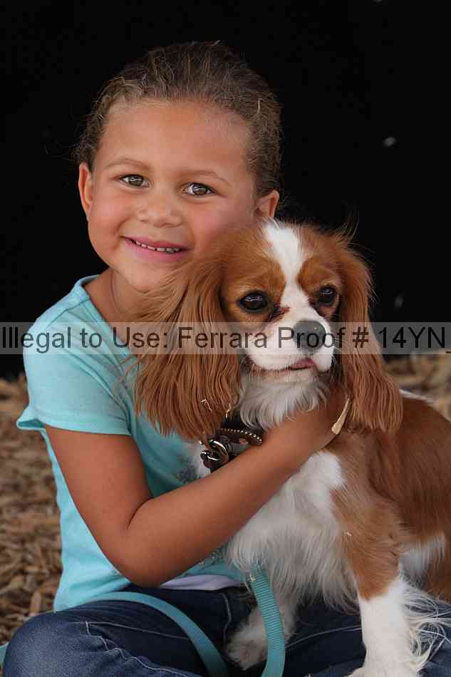 Proof Number 14yn_slideshow_24452