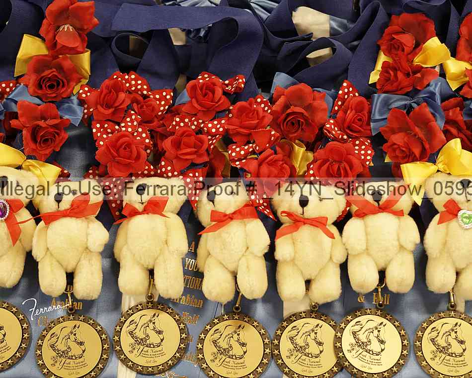 Proof Number _14yn_slideshow_05957