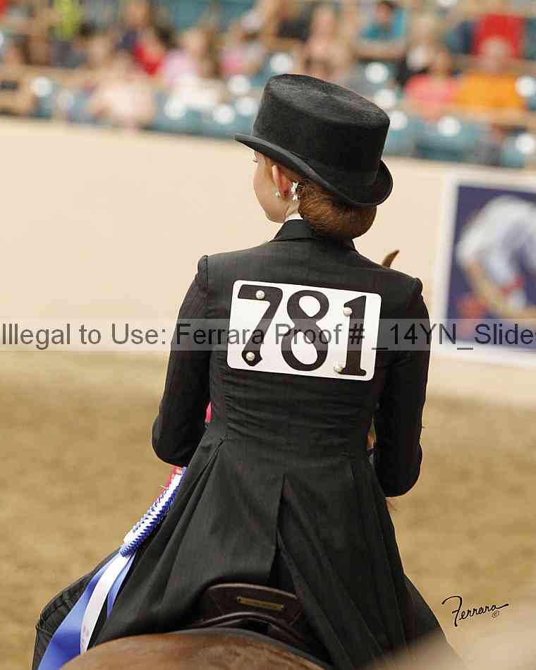 Proof Number _14yn_slideshow_06009
