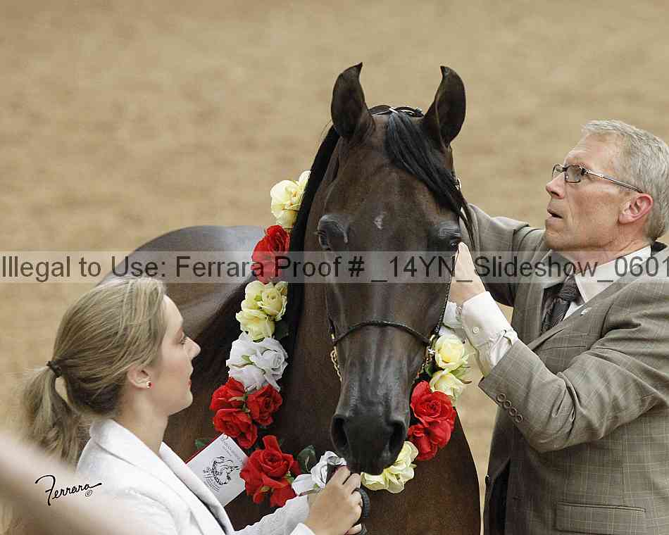 Proof Number _14yn_slideshow_06012