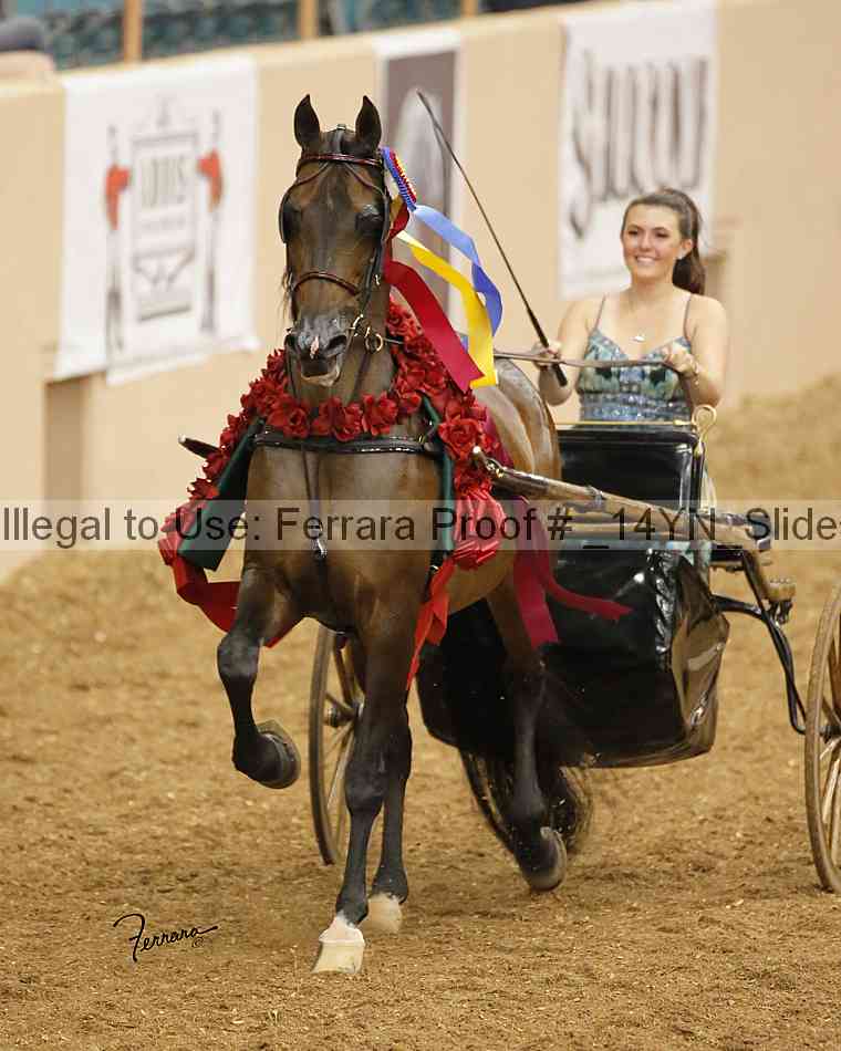 Proof Number _14yn_slideshow_09141