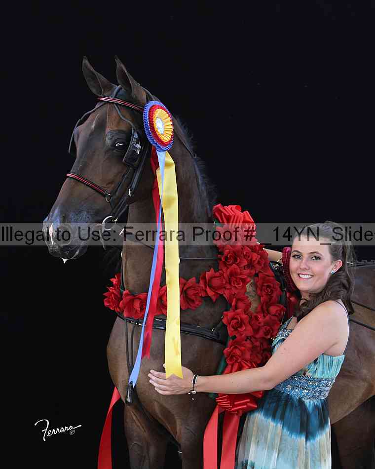 Proof Number _14yn_slideshow_09142