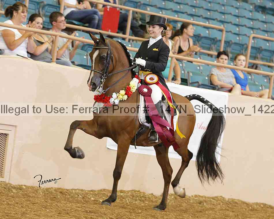 Proof Number _14yn_slideshow_14228