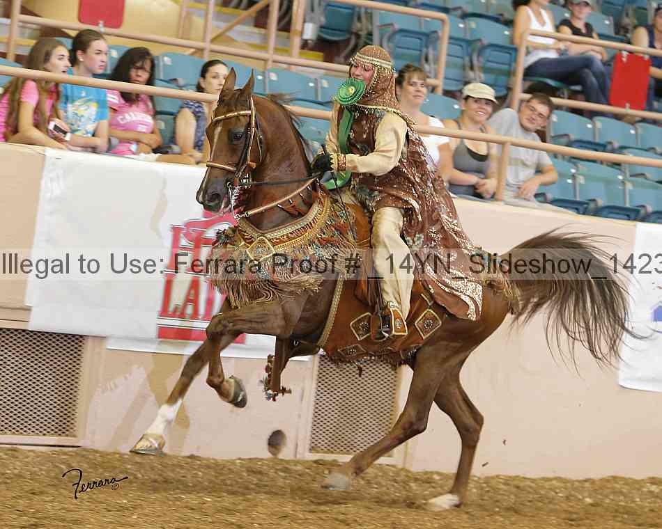 Proof Number _14yn_slideshow_14231