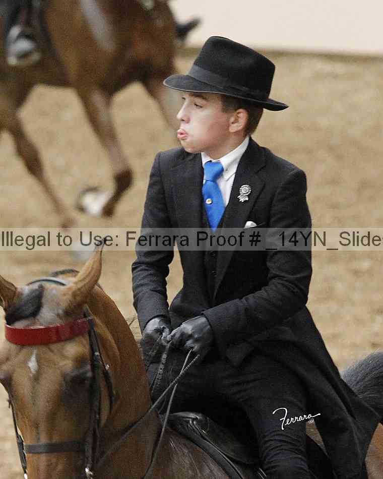 Proof Number _14yn_slideshow_14232