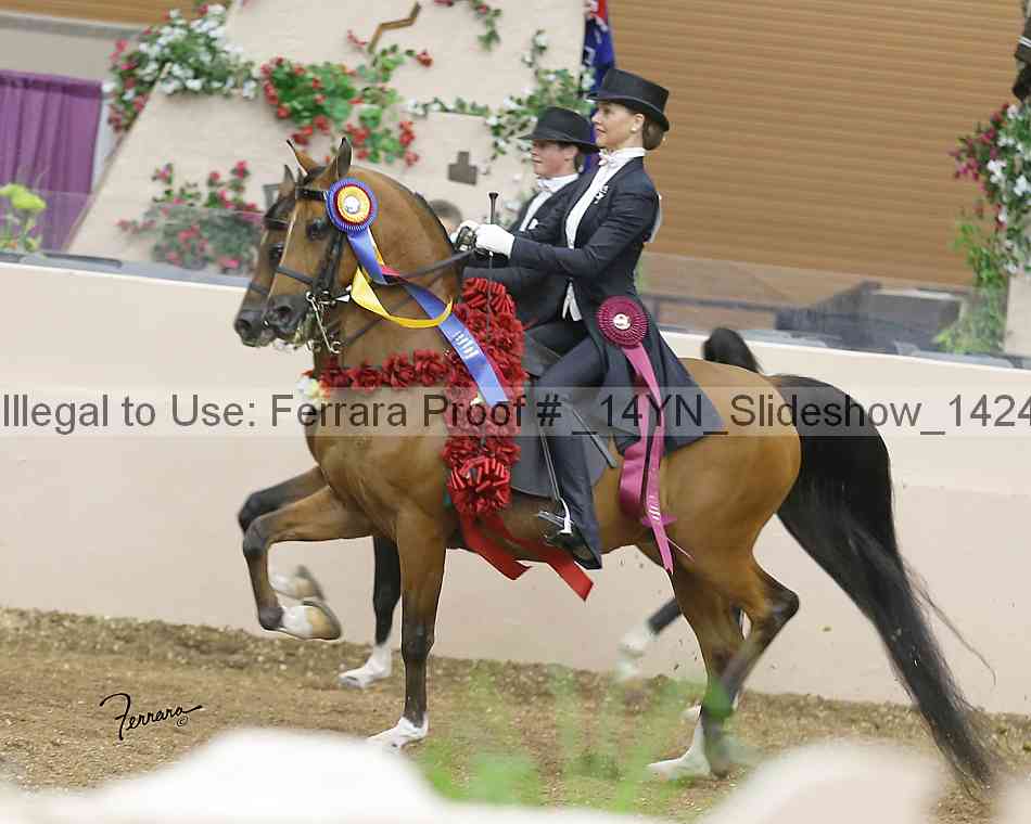 Proof Number _14yn_slideshow_14243