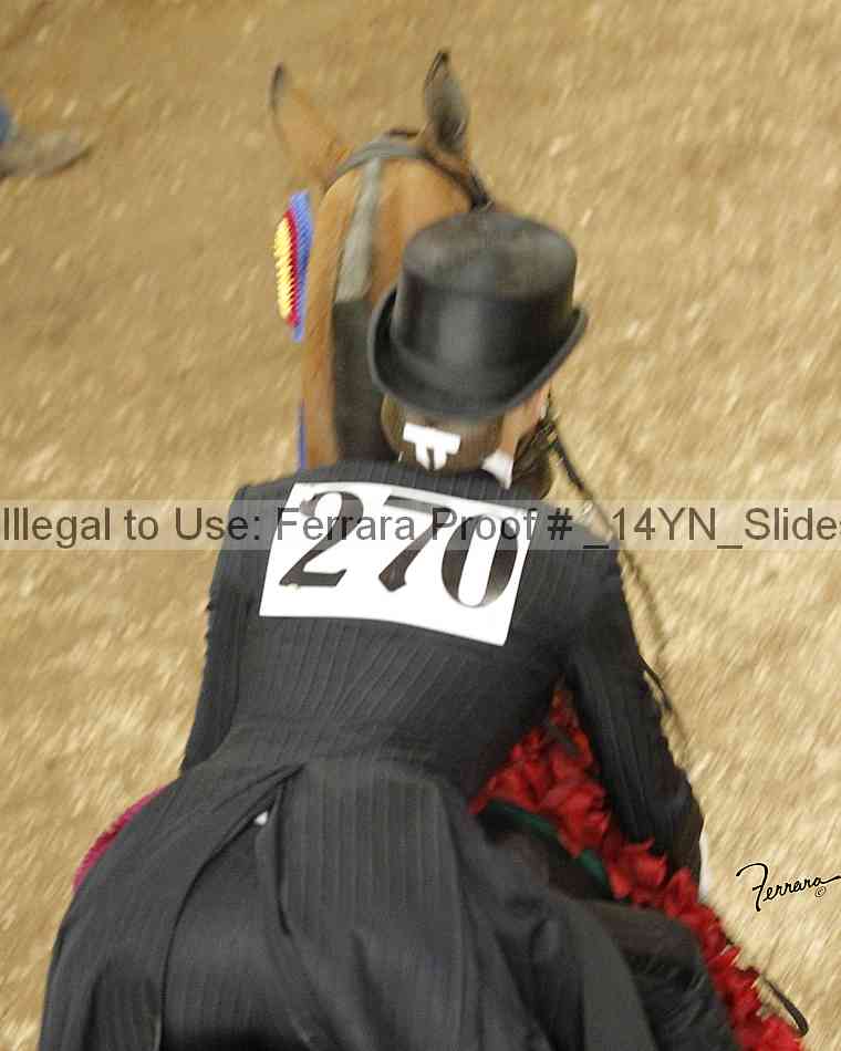 Proof Number _14yn_slideshow_14244
