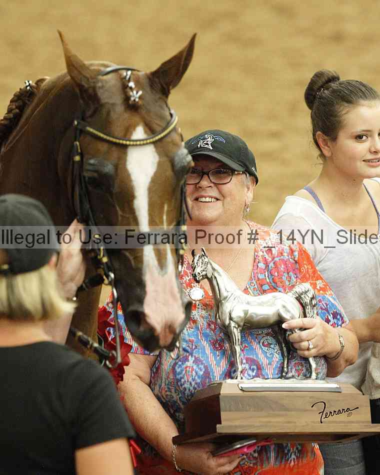Proof Number _14yn_slideshow_14268
