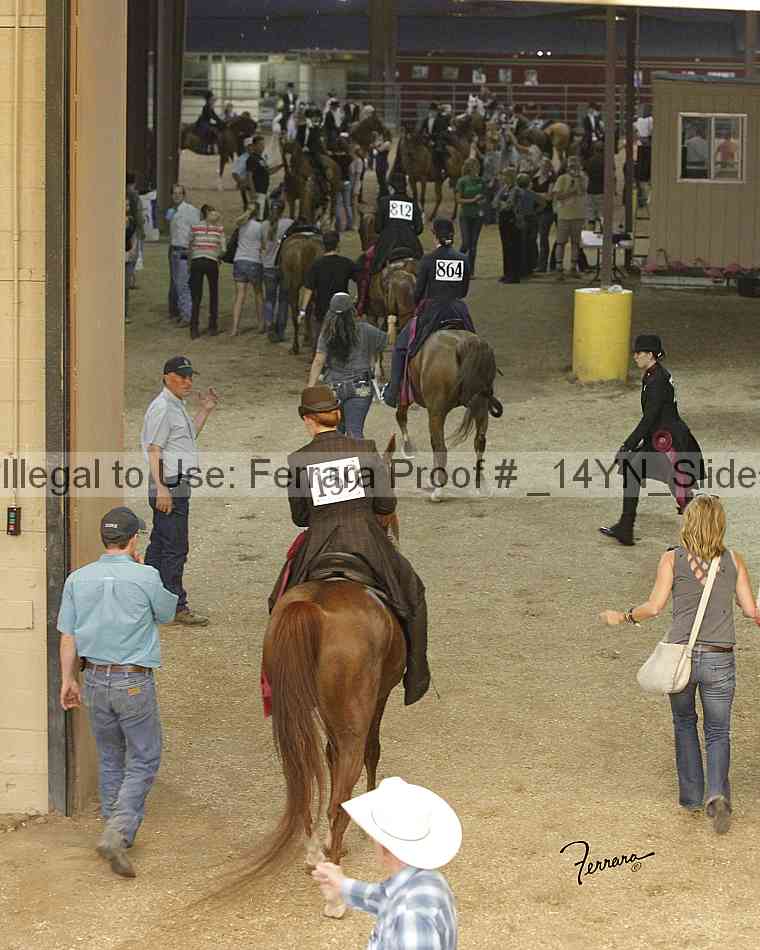 Proof Number _14yn_slideshow_14279