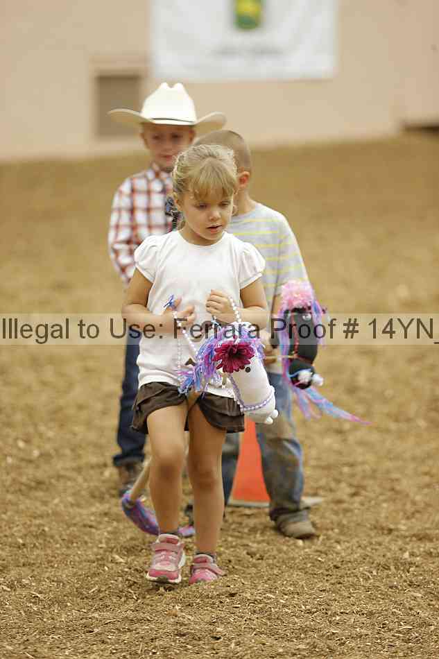Proof Number 14yn_08906