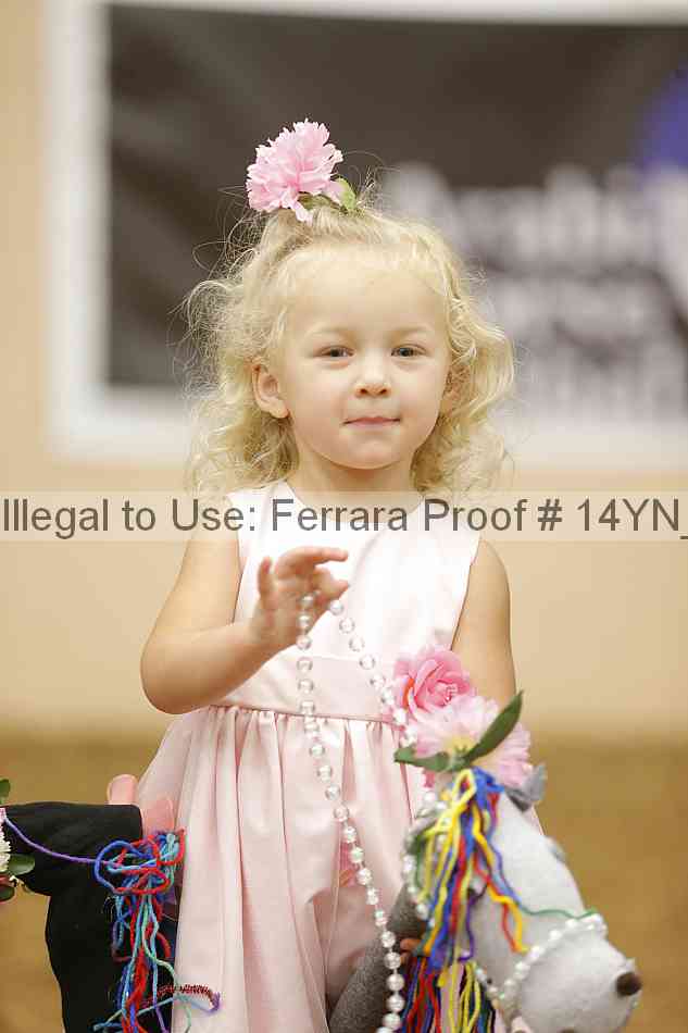 Proof Number 14yn_08915