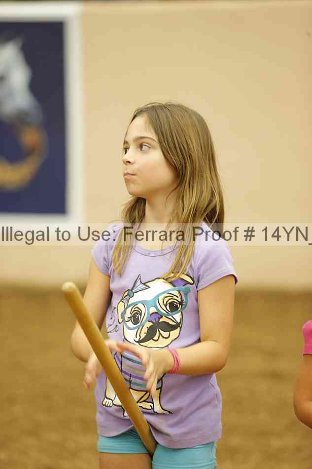 Proof Number 14yn_08923