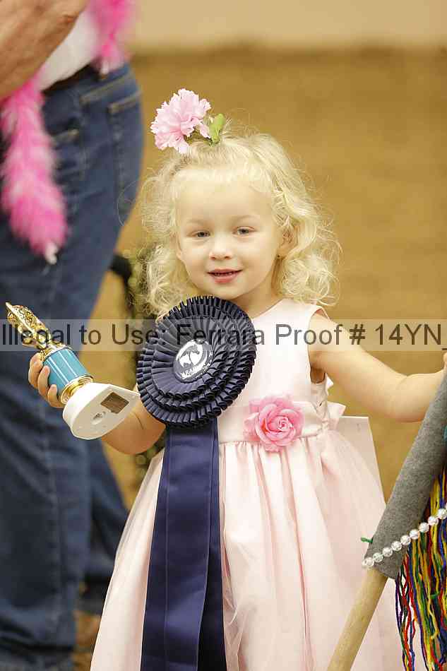 Proof Number 14yn_08954