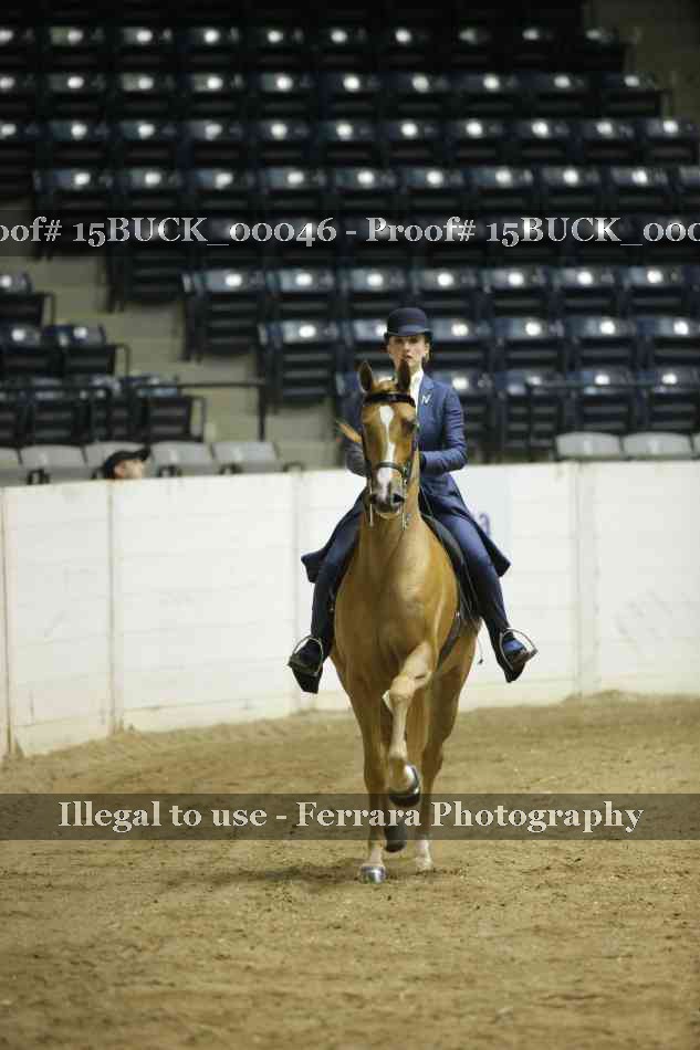 Proof Number 15BUCK_00046