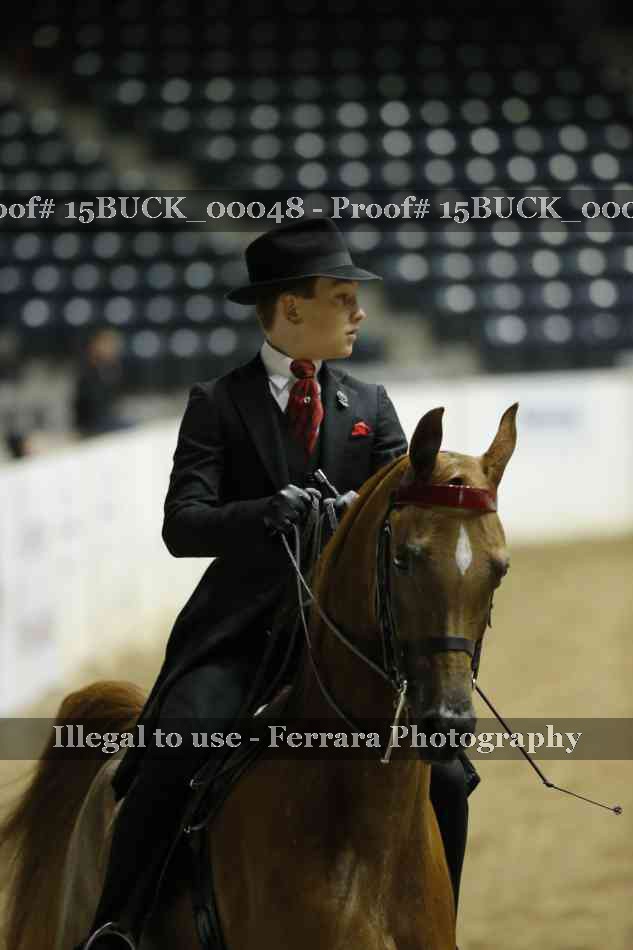 Proof Number 15BUCK_00048