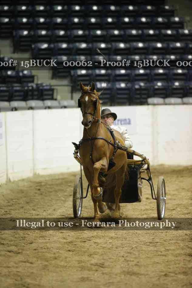 Proof Number 15BUCK_00062