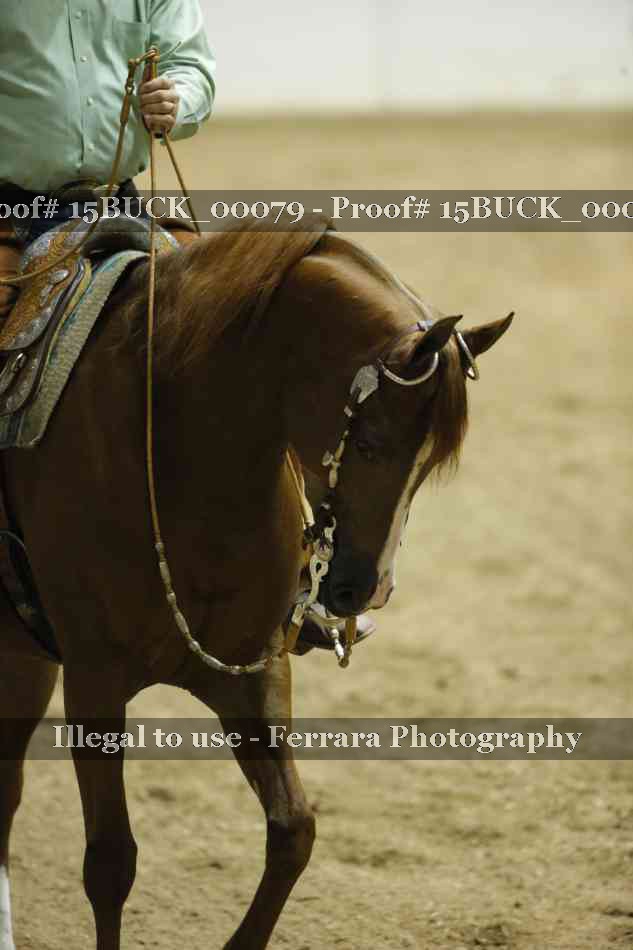 Proof Number 15BUCK_00079