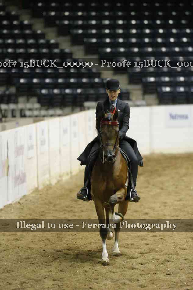 Proof Number 15BUCK_00090
