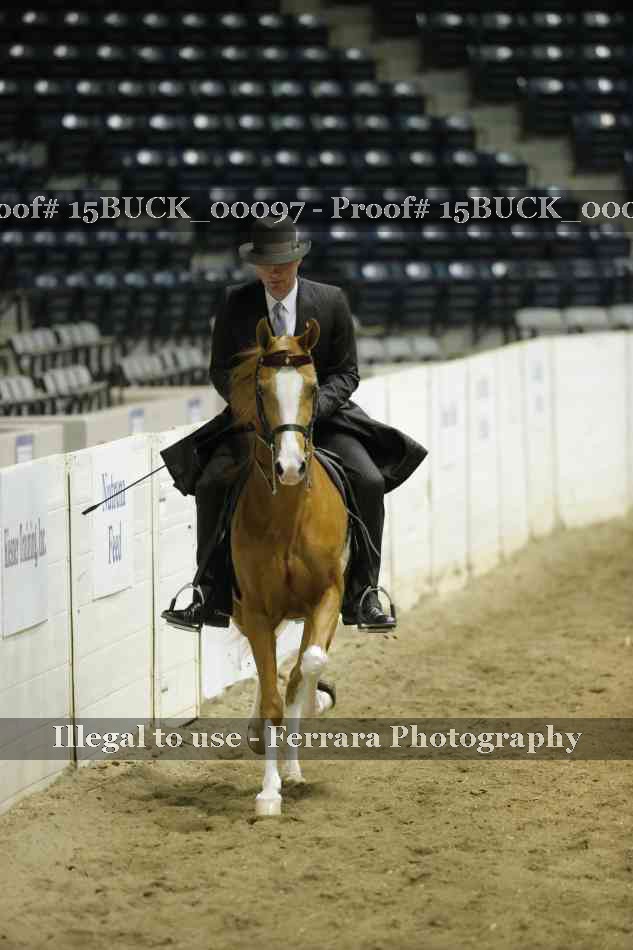 Proof Number 15BUCK_00097