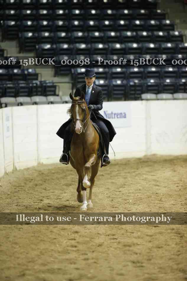 Proof Number 15BUCK_00098