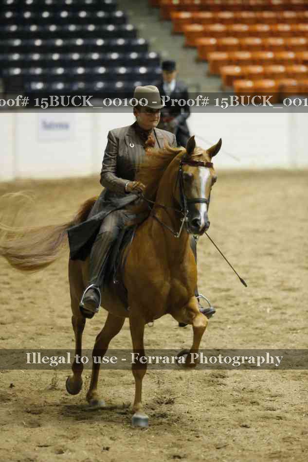 Proof Number 15BUCK_00100