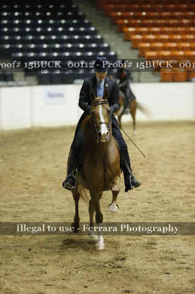 Proof Number 15BUCK_00112