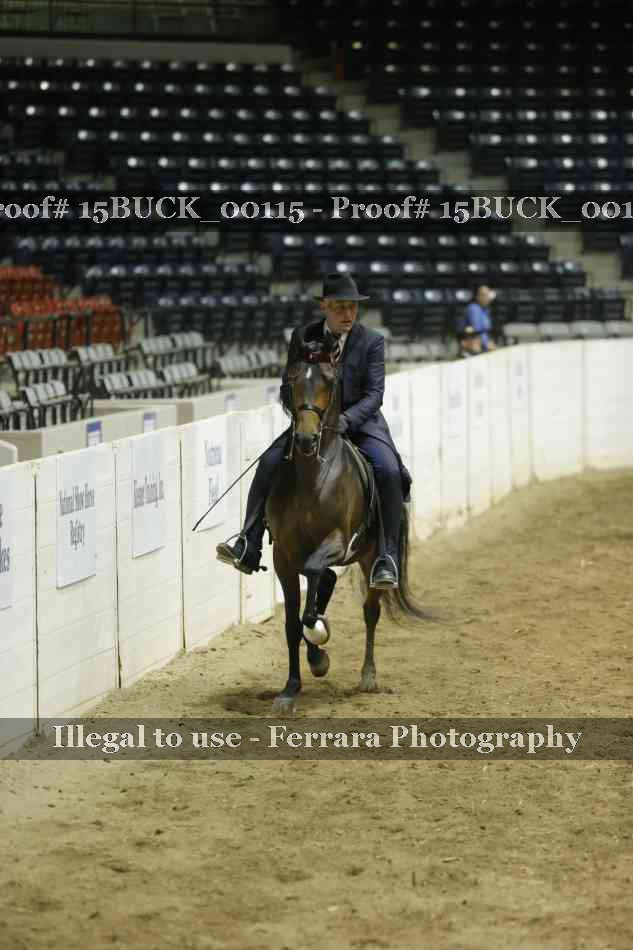 Proof Number 15BUCK_00115