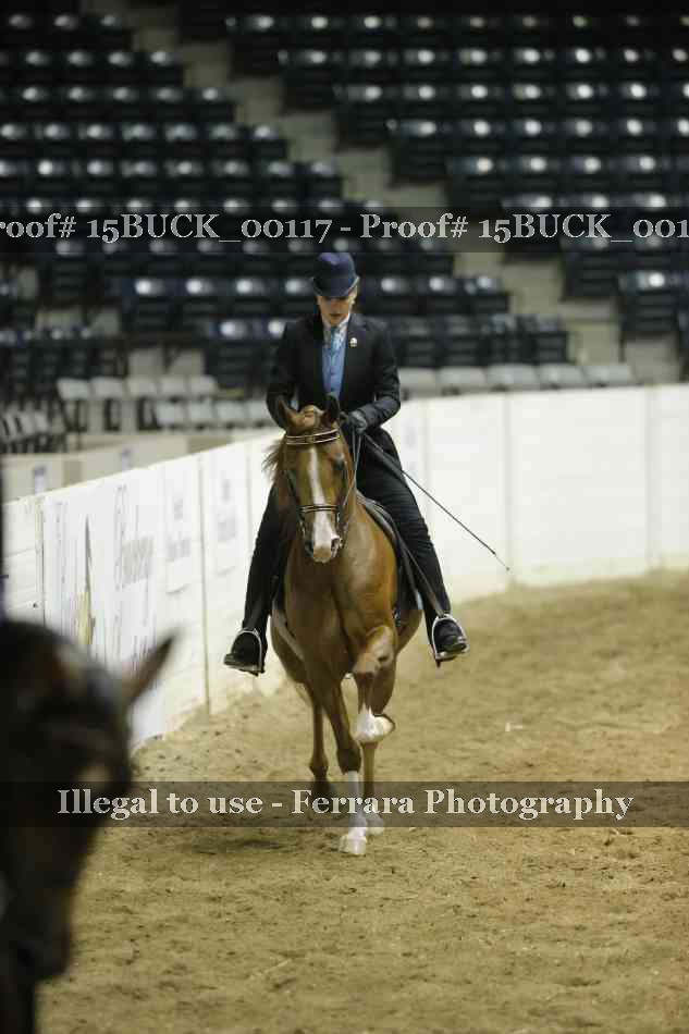 Proof Number 15BUCK_00117
