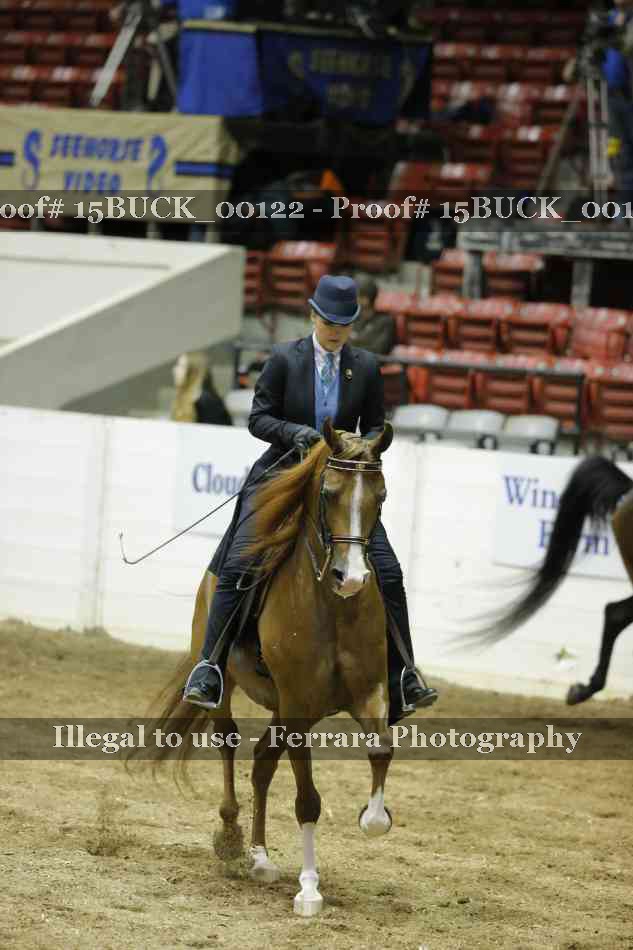 Proof Number 15BUCK_00122
