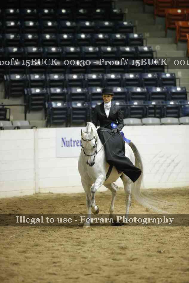 Proof Number 15BUCK_00130