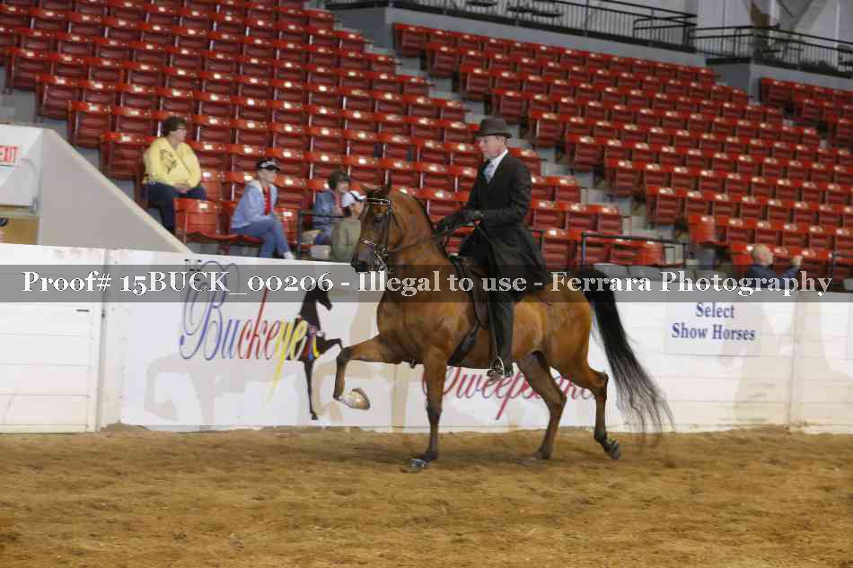 Proof Number 15BUCK_00206