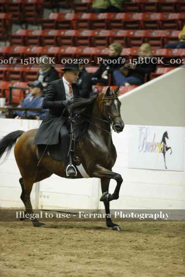 Proof Number 15BUCK_00220