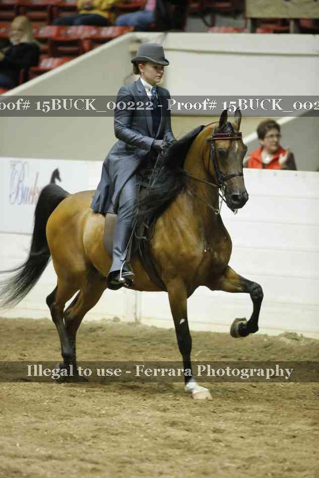 Proof Number 15BUCK_00222