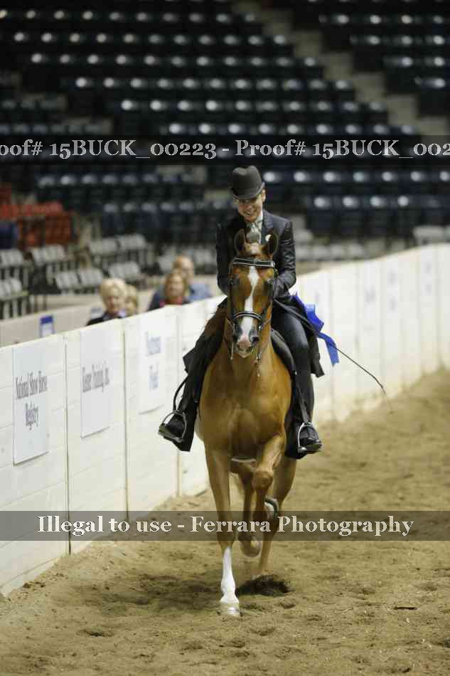 Proof Number 15BUCK_00223