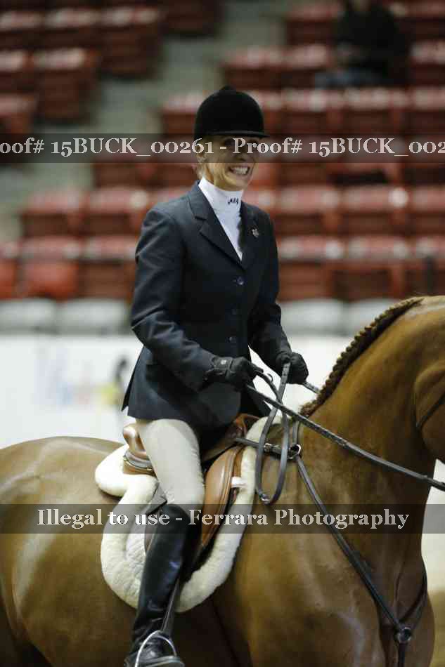 Proof Number 15BUCK_00261