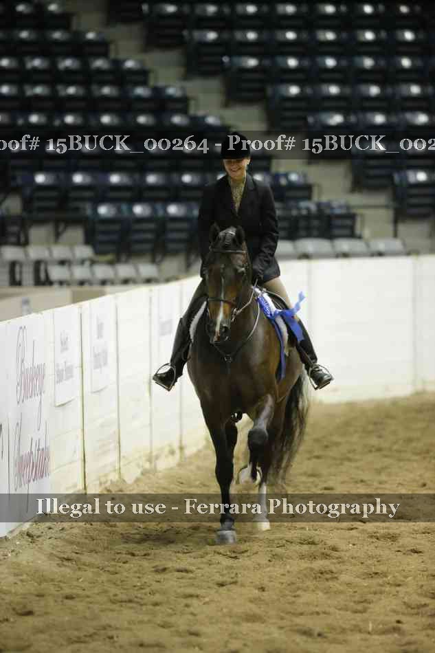 Proof Number 15BUCK_00264