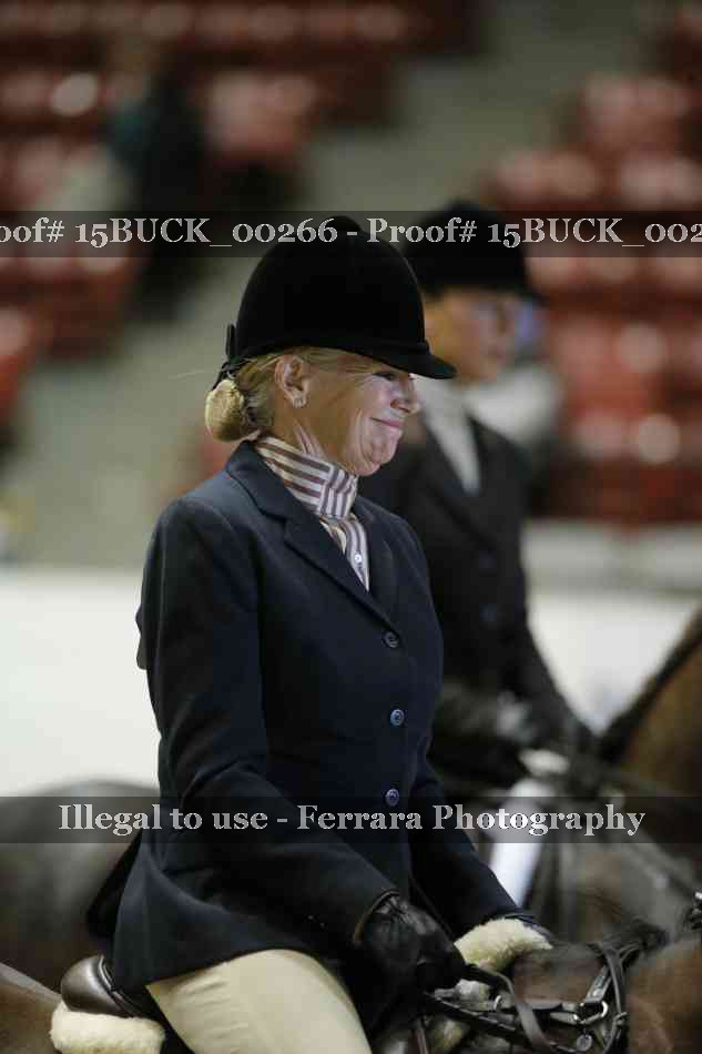 Proof Number 15BUCK_00266
