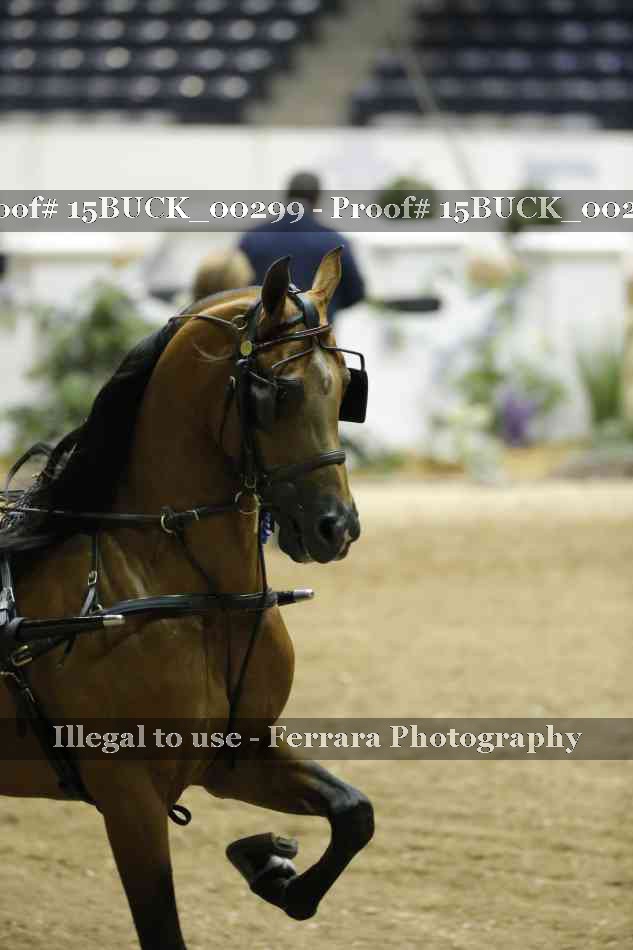 Proof Number 15BUCK_00299