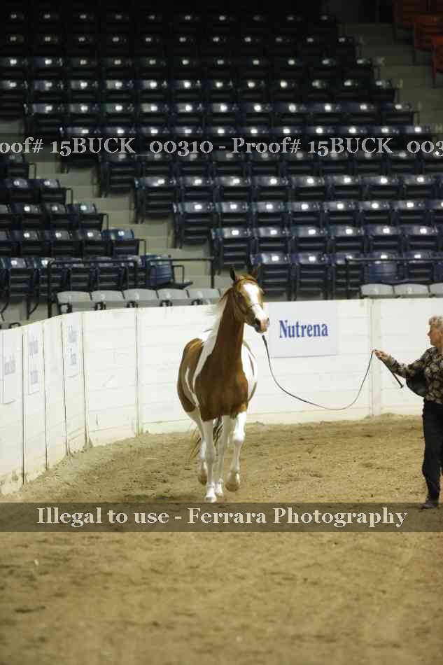 Proof Number 15BUCK_00310