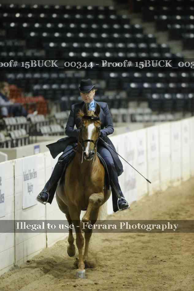 Proof Number 15BUCK_00344